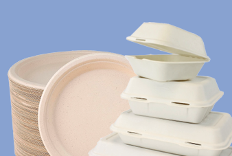 Paper Eco boxes - Bio degradable & compostable